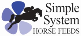 Simple Systems Logo