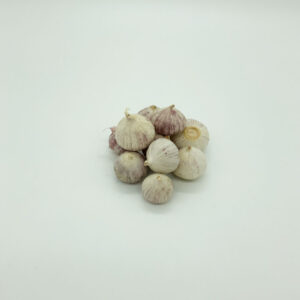 Solo Garlic
