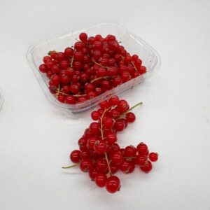 redcurrant