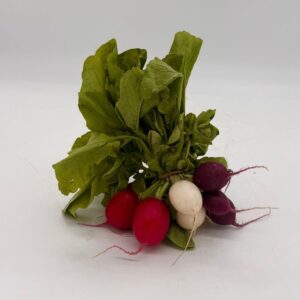 rainbow radish