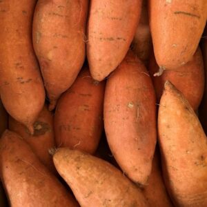 Sweet Potato