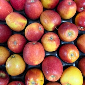 Braeburn Apple