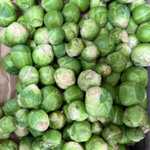Sprouts