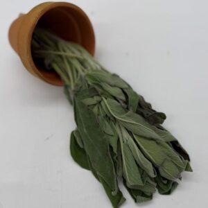 Sage