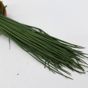 Chives