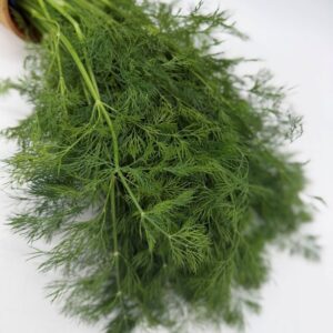 Dill