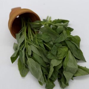 Basil