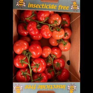 Vine Tomatoes
