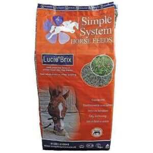 Simple Sysytem Lucie Brix