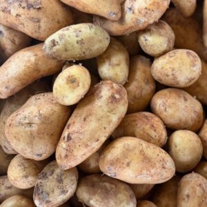 Cyprus potato