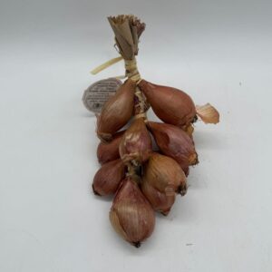 String Shallots